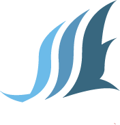 Logo SSE final — version bleue